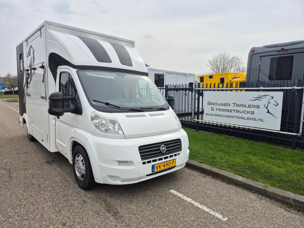 Zeer mooie Fiat Ducato horsetruck,49000km ,btw auto, Dieren en Toebehoren, Ophalen, Nieuw, Aluminium, Overige typen