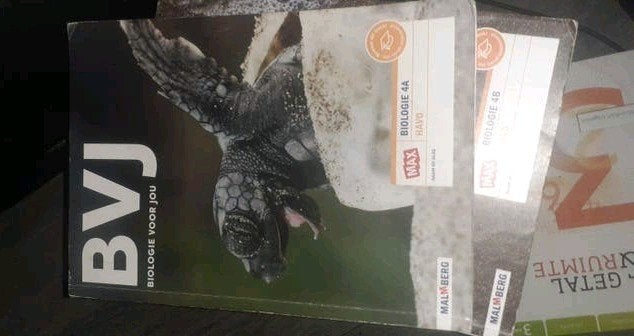 BVJ Biologie voor jou 4A en 4B HAVO - Zo goed als nieuw, Malmberg, Biologie, HAVO, Ophalen of Verzenden