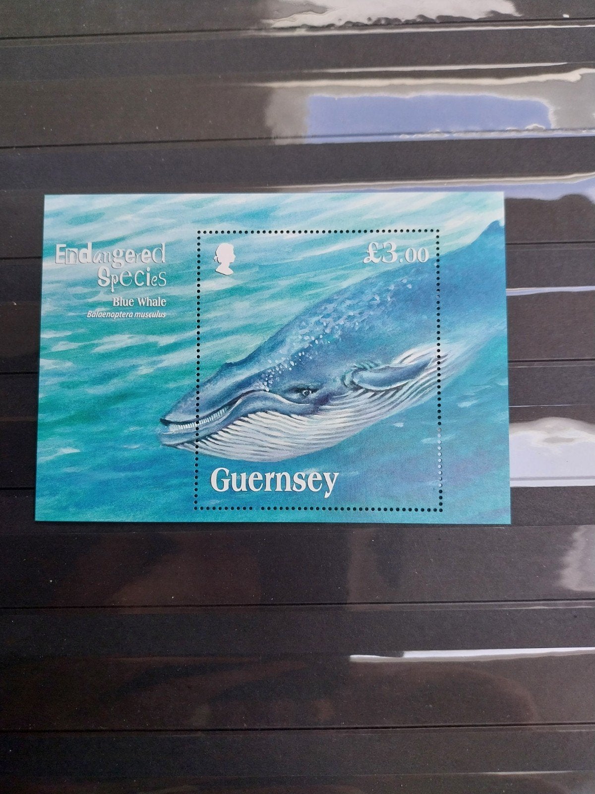 Guernsey blok 52 walvis 2011 postfris mi 9 eu, Ophalen of Verzenden, Dier of Natuur