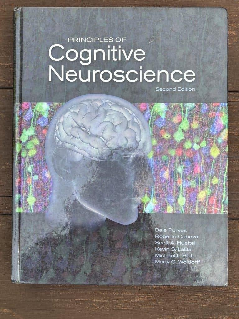 Principles of Cognitive Neuroscience - Tweede Editie, Boeken, WO, Dale Purves, Roberto Cabeza, Scott A. Huettel, Kevin S. LaBar