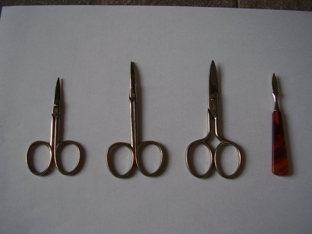 Schaartjes  set, Verzenden, Nieuw, Zwart, Handen en Nagels