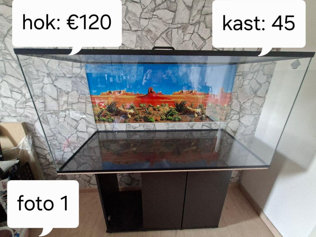 Knaagdier terrarium met toebebehoren, Dieren en Toebehoren, Ophalen, 60 tot 90 cm, Muis, Hok