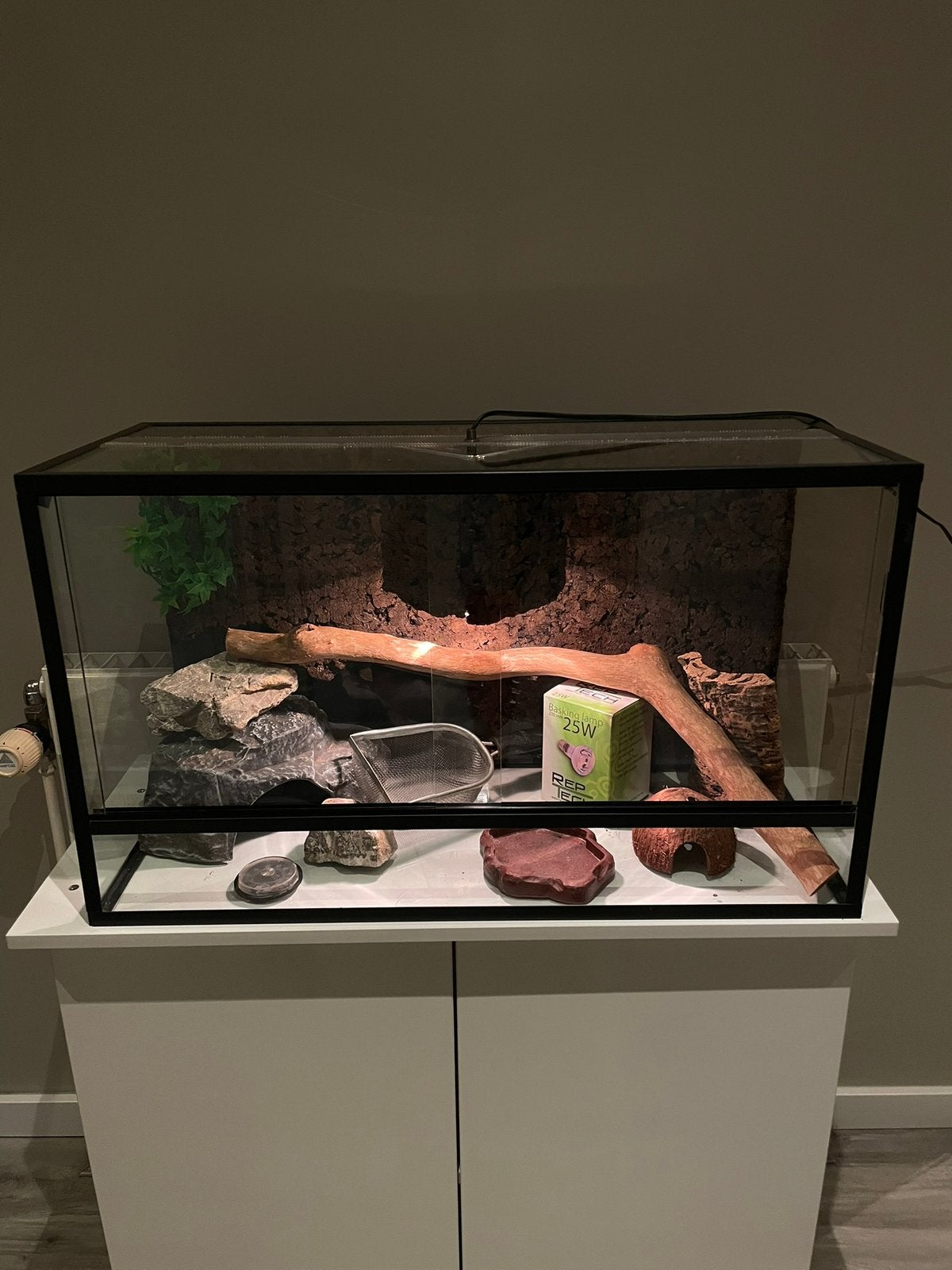 Terrarium compleet 70 x 30 x 40, Ophalen