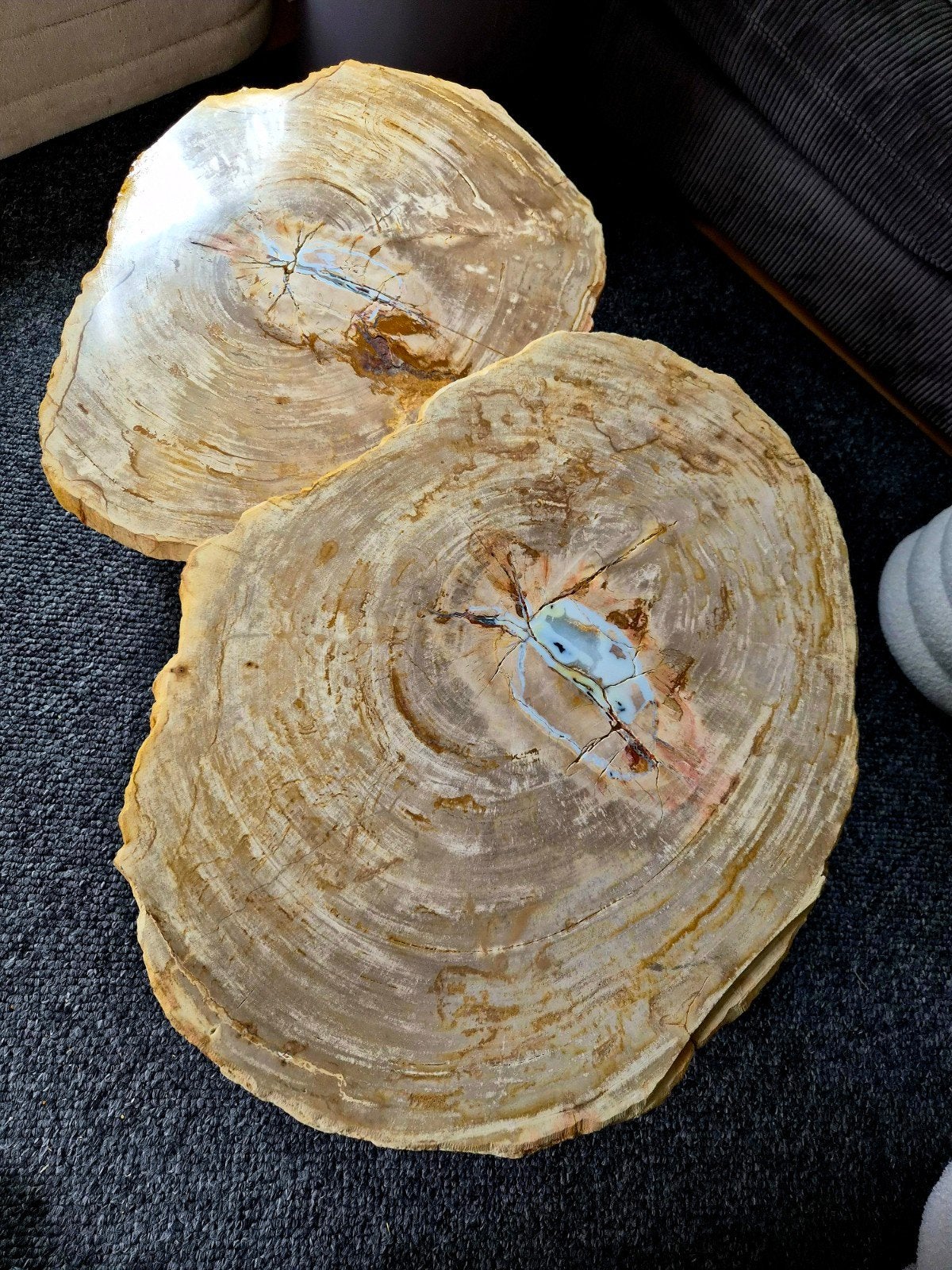 Versteend hout epoxy 85cm plakken (zuid Holland), Ophalen of Verzenden, Zo goed als nieuw, Dubbelzijdig, Beige