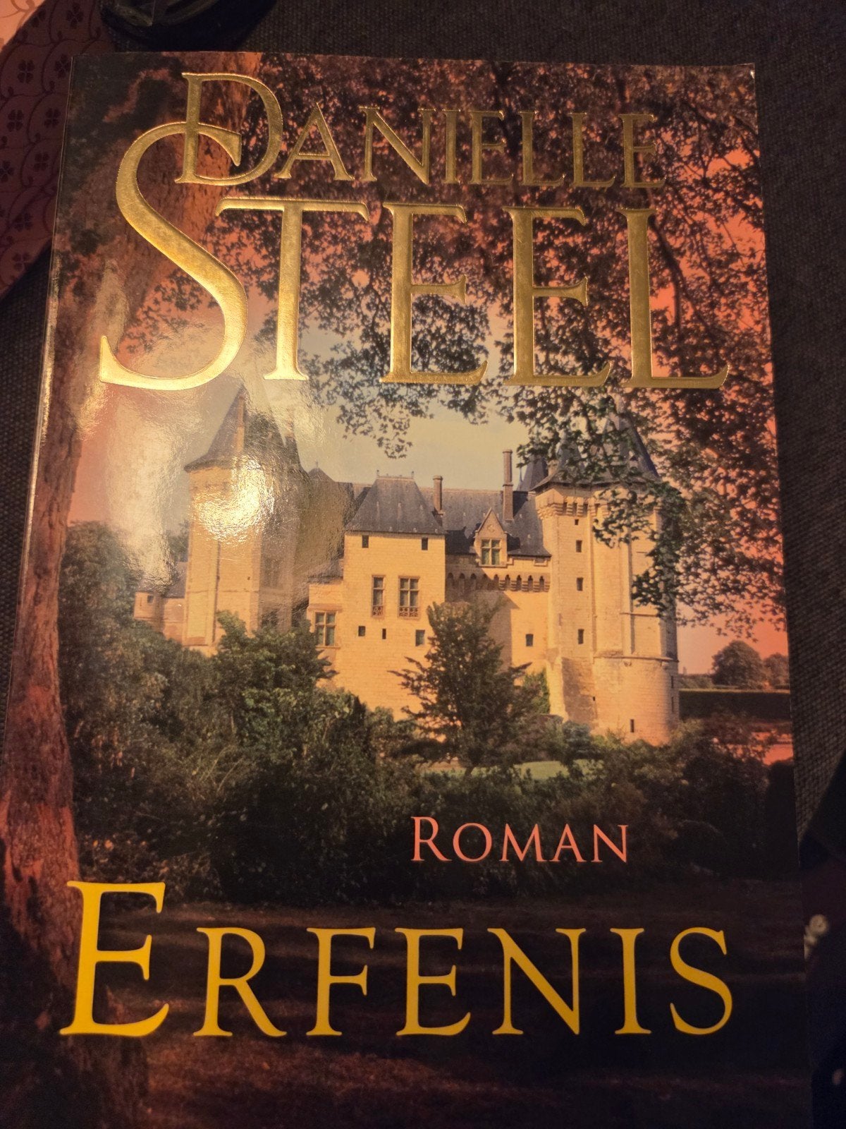 Danielle Steel - Erfenis (Roman), Boeken, Romans, Ophalen of Verzenden, Gelezen, Danielle Steel, Nederland