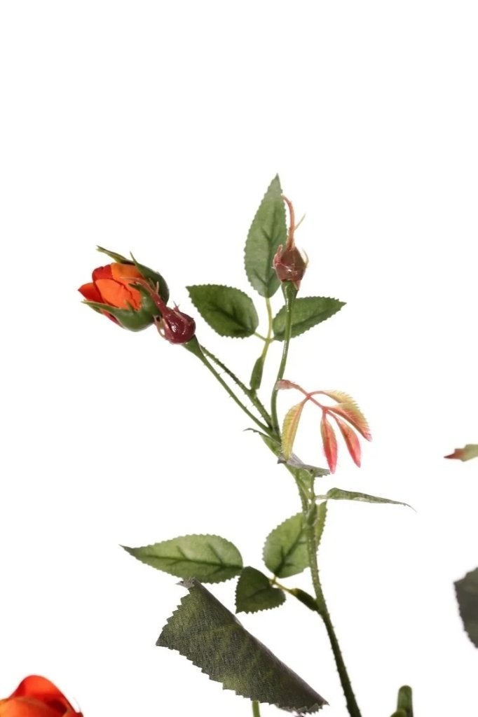 TOP ART - PRACHTIGE ROZEN TAK, Ophalen of Verzenden, Nieuw