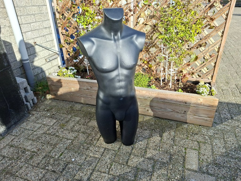 schitterende mannen torso beeld, Ophalen of Verzenden, Zo goed als nieuw, Mens