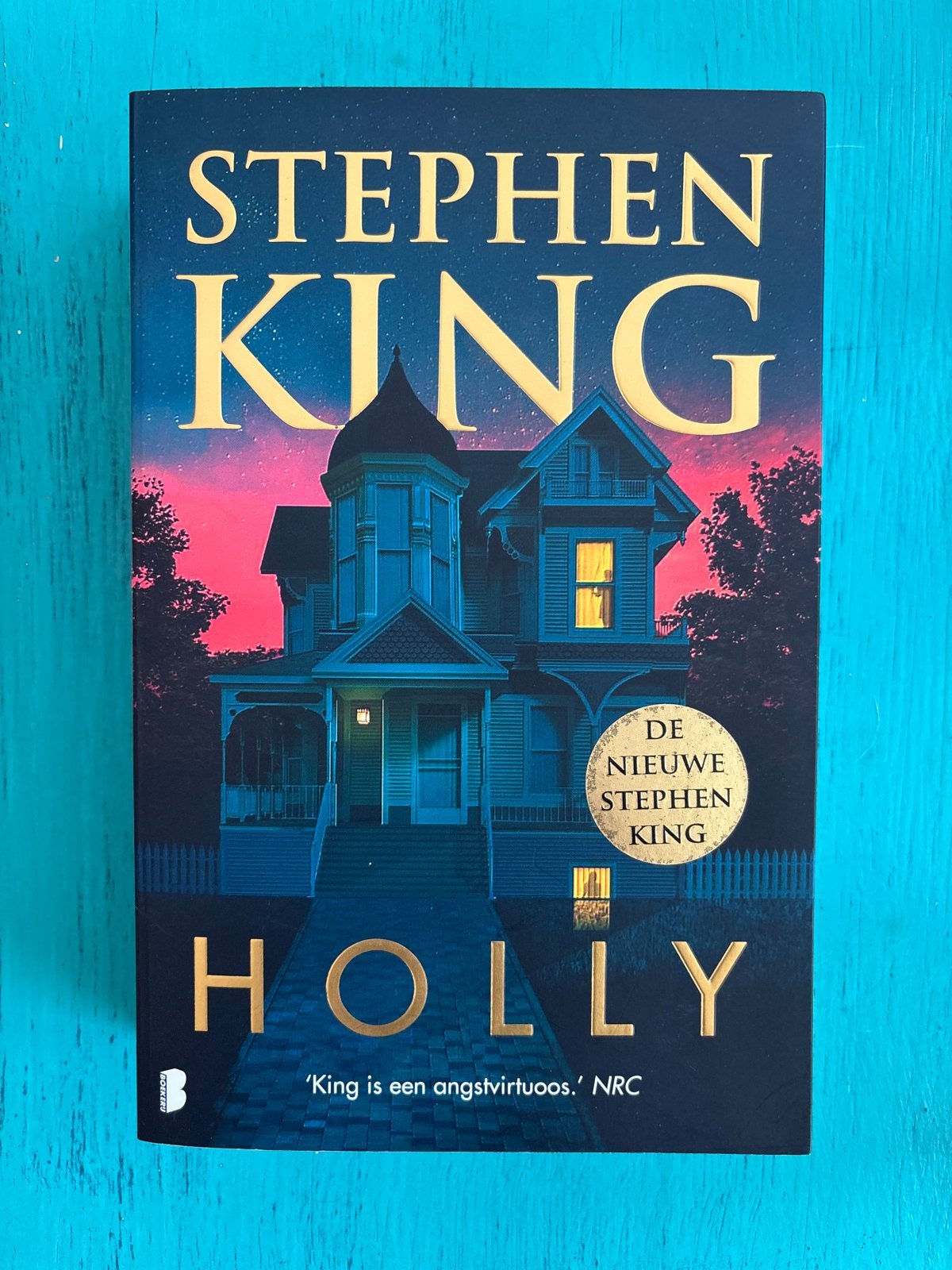 Stephen King - Holly (Hardcover), Boeken, Ophalen of Verzenden, Zo goed als nieuw, Nederland