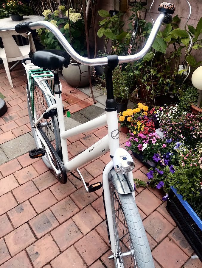 Giant Triple x met dikke banden!, Fietsen en Brommers, Ophalen, Terugtraprem, Gebruikt, 49 tot 53 cm