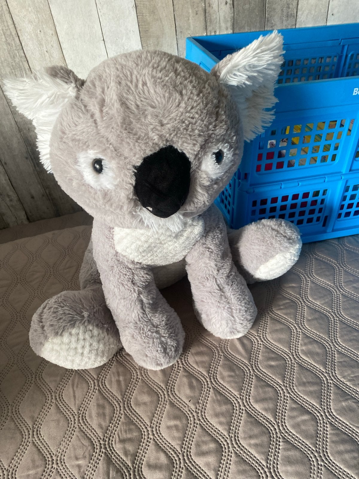 Grote Koala Knuffel - 40cm Zacht Grijs Speelgoed, Overige typen, Grijs, Ophalen of Verzenden, Zo goed als nieuw