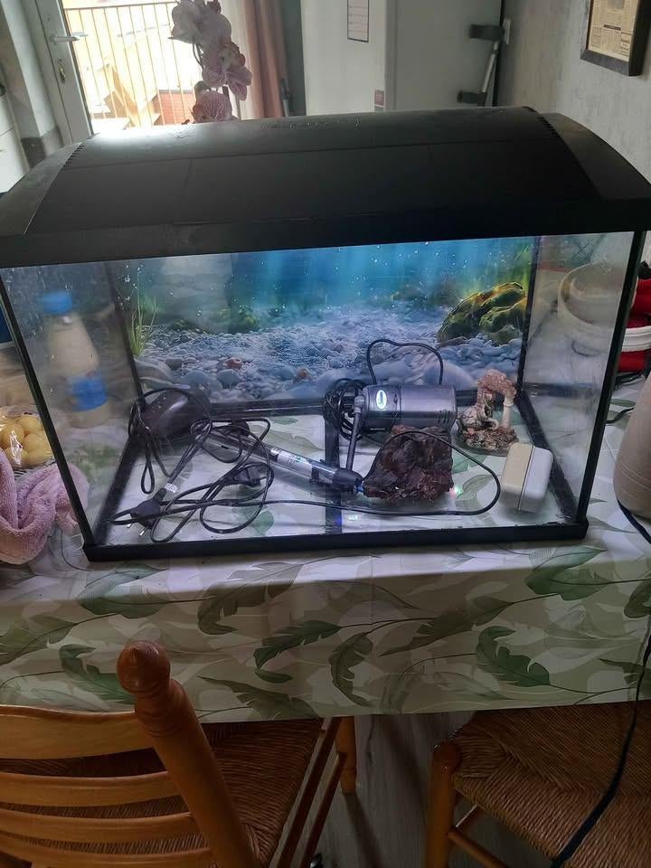 aqurium superfisch 60x40x30 compleet met led, Dieren en Toebehoren, Vissen | Aquaria en Toebehoren, Ophalen, Zo goed als nieuw