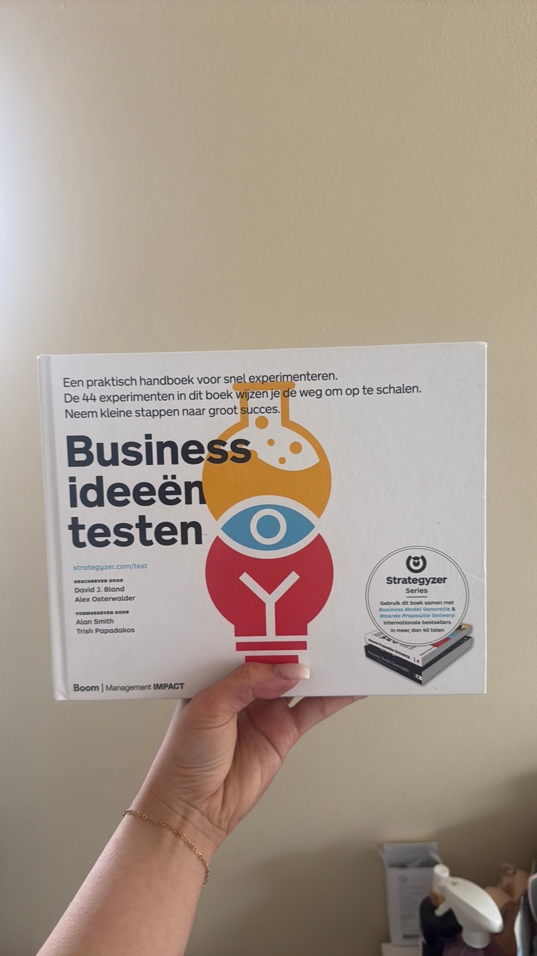 Alex Osterwalder - Businessideeën testen, Boeken, Ophalen of Verzenden, Zo goed als nieuw, Alex Osterwalder; David J. Bland
