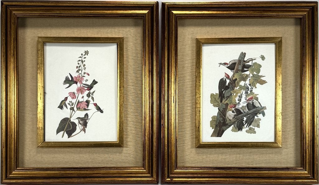 787. Prenten naar John James Audubon, Antiek en Kunst, Ophalen of Verzenden
