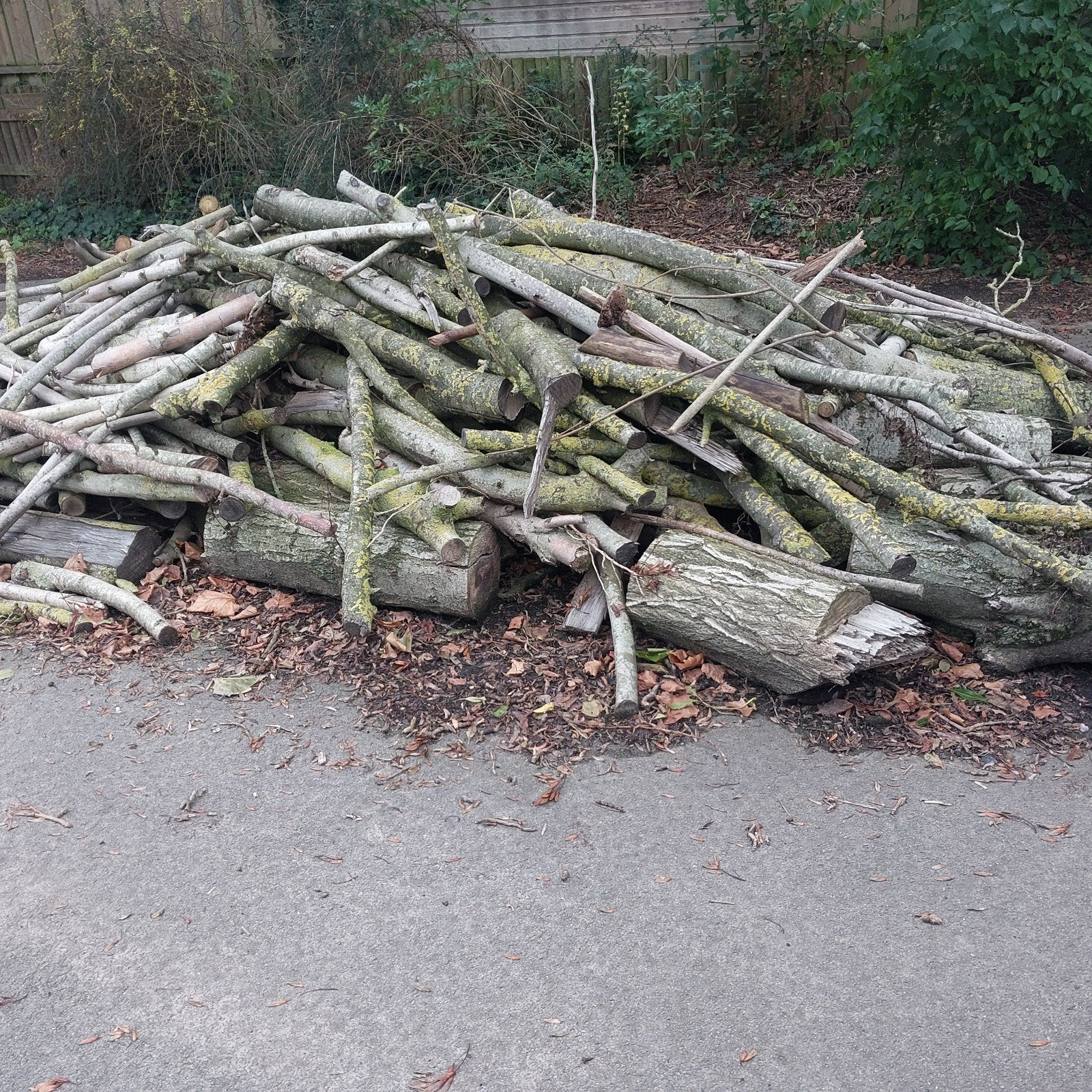 Haardhout Es en Populier >3m³, Tuin en Terras, Minder dan 3 m³, Ophalen, Essenhout, Blokken