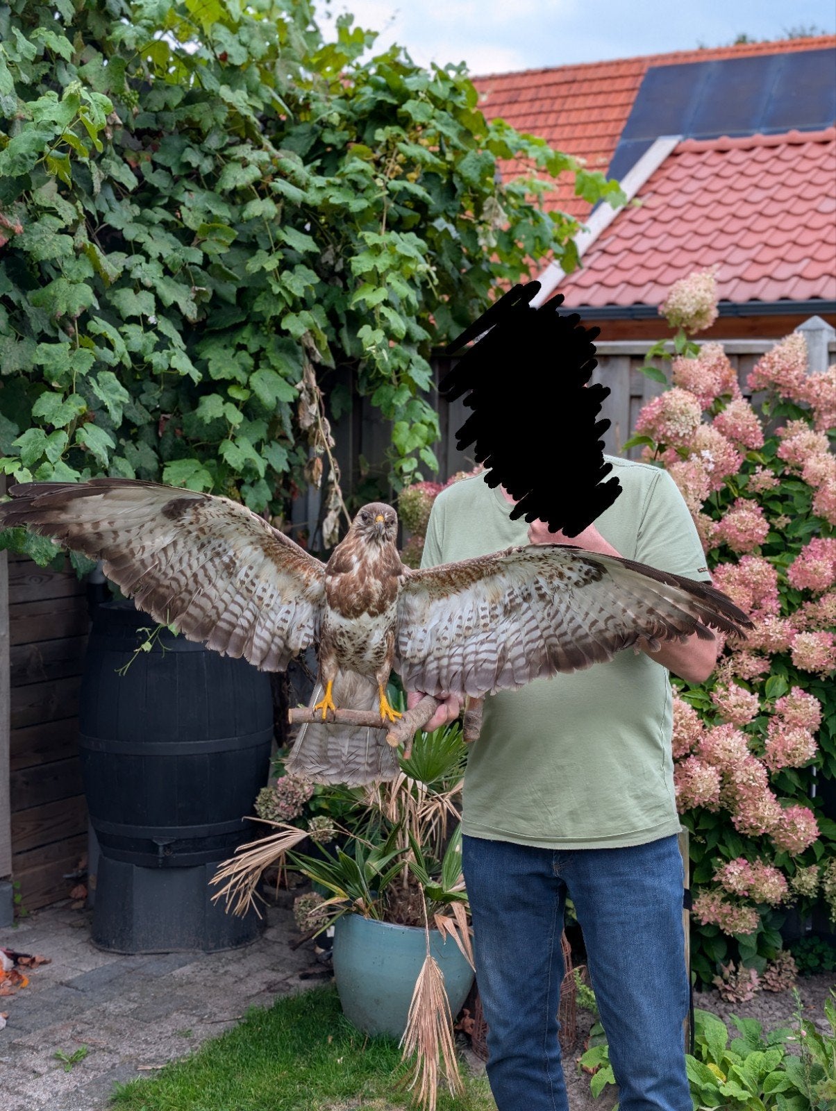 Prachtige vintage buizerd in zeer goede staat, Ophalen, Zo goed als nieuw