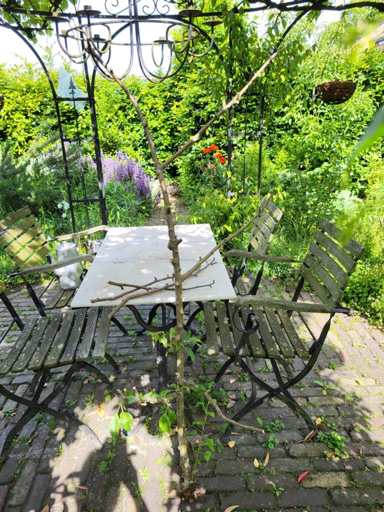 Appelboom voor voilere, Dieren en Toebehoren, Vogels | Hokken en Kooien, Ophalen, Hout, Volière