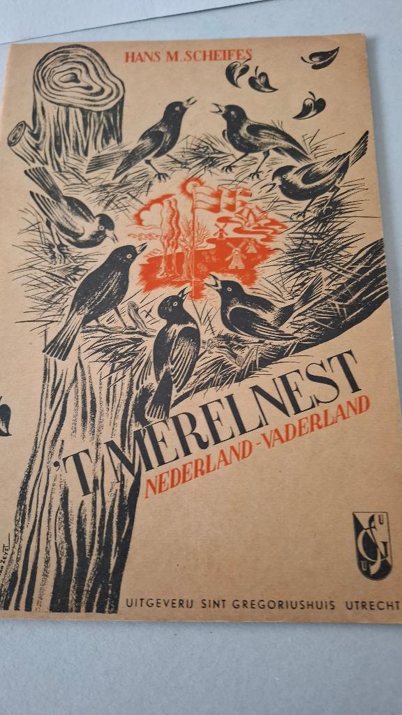 'T Merelnest nederland vaderland, Verzenden, Zo goed als nieuw, Artiest