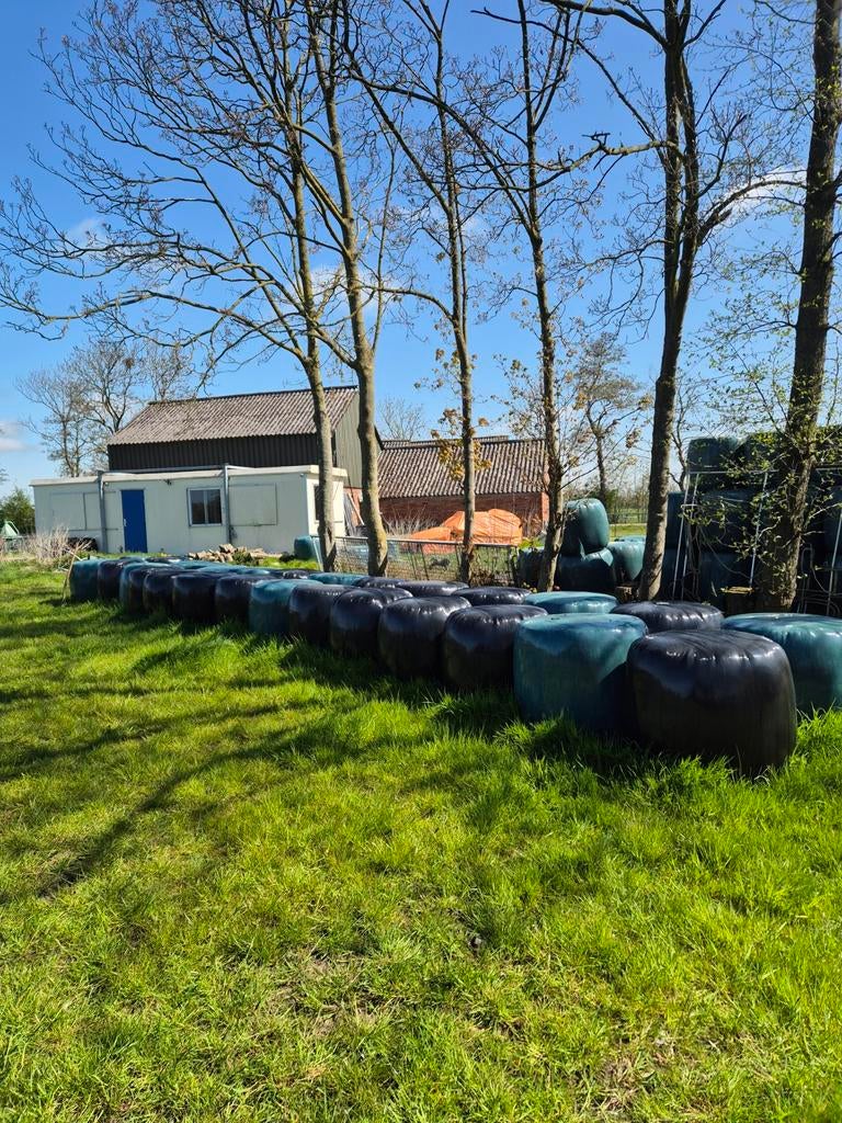 28 midibalen tussen hooi en kuil in, Dieren en Toebehoren, Ophalen, Vee