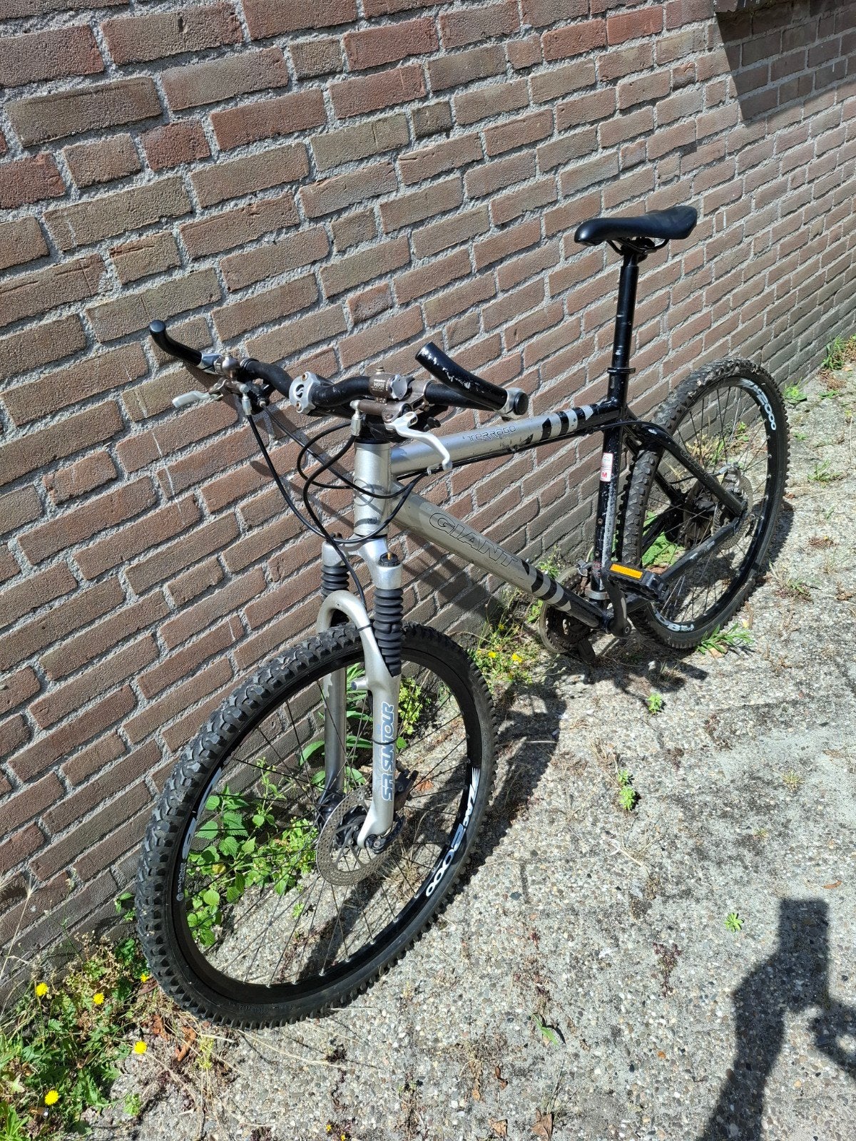 Mountainbike Gaint, Ophalen of Verzenden, Meer dan 20 versnellingen, 26 inch, Overige merken
