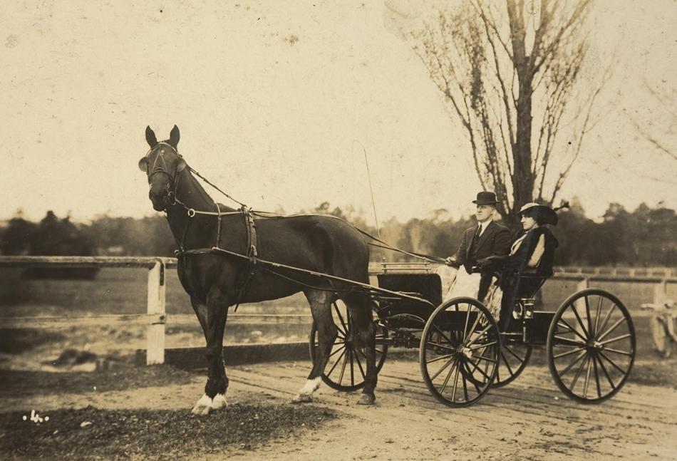 Vervoer-beroepen-foto-J- 375    Repro-Paard en Wagen, Verzenden, 1980 tot heden, Foto, Nieuw