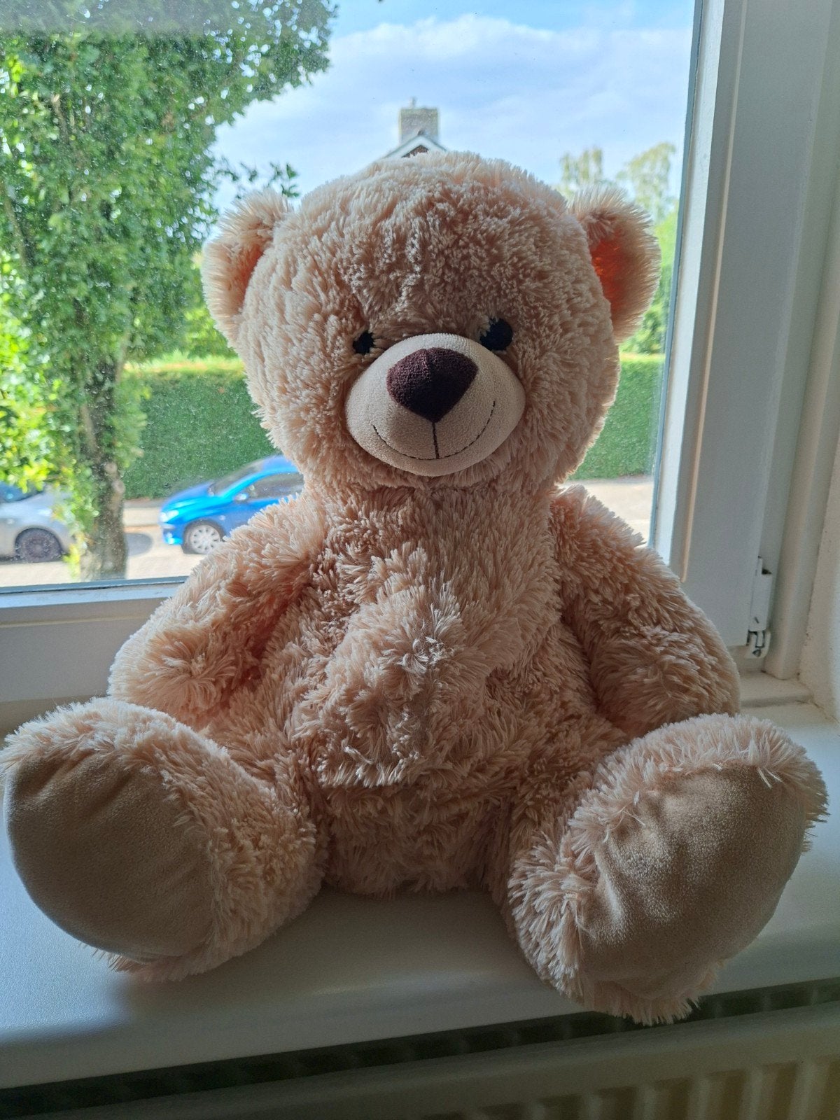 Super schattige Intertoys knuffelbeer - goede kwaliteit, Ophalen, Overige merken, Overige karakters, Beer