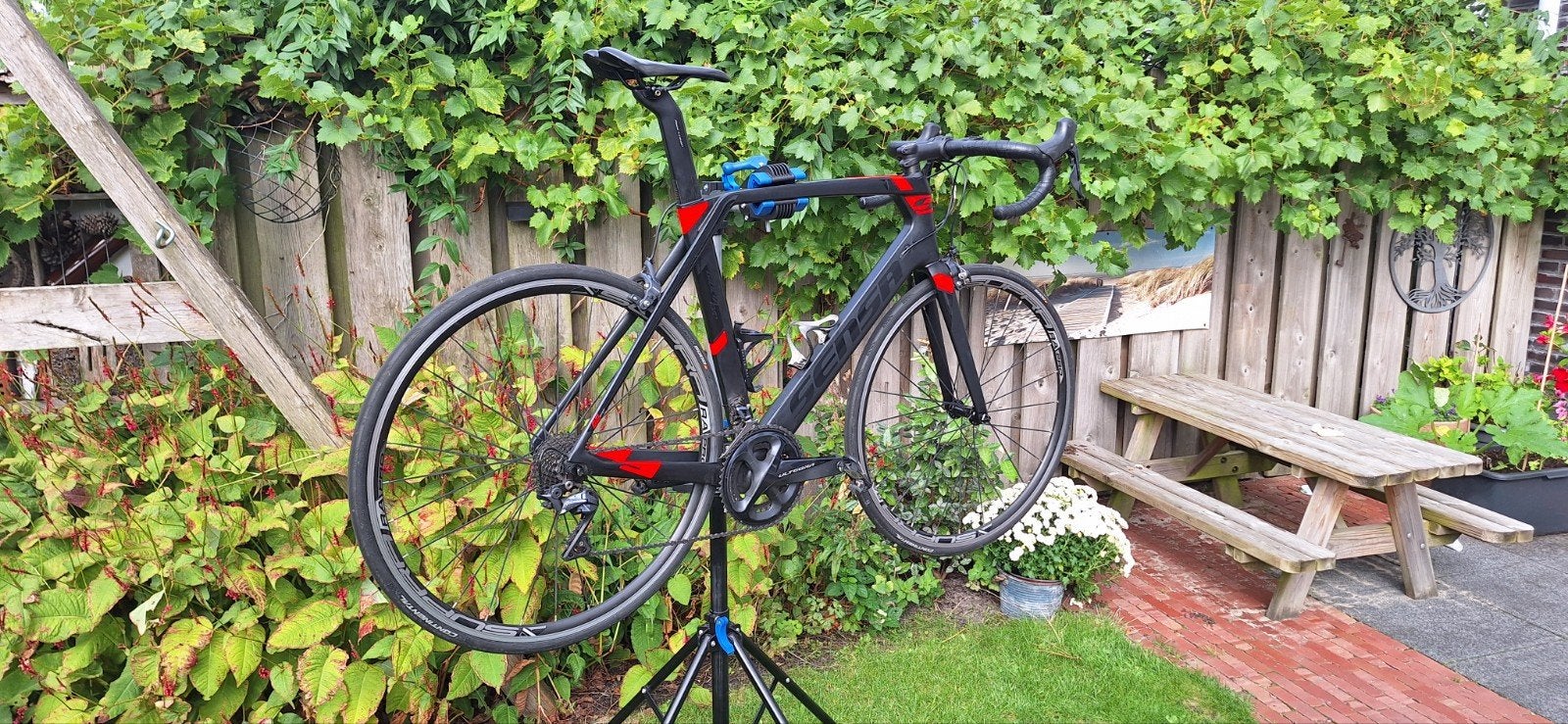 Sensa Giulia Evo Volledig Ultegra Racefiets, mt58, Carbon, Heren, 57 tot 61 cm, Meer dan 20 versnellingen