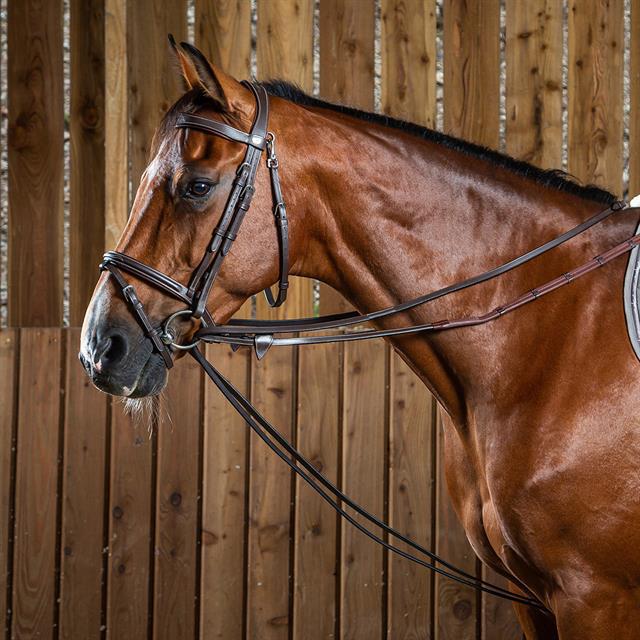 Dy’on Slofteugels Leer, Dieren en Toebehoren, Paarden en Pony's | Hoofdstellen en Tuigage, Ophalen of Verzenden, Nieuw, Overige soorten