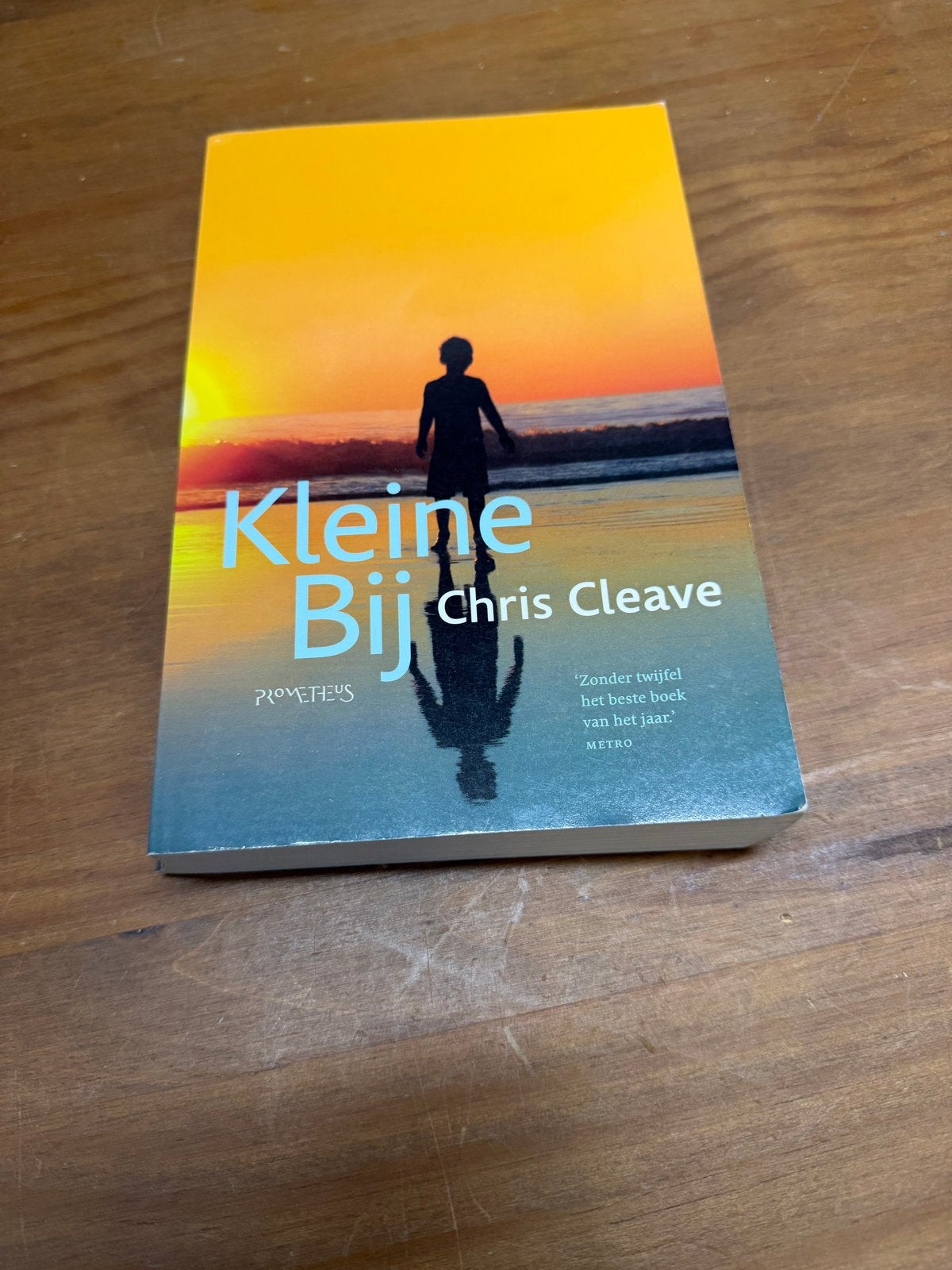 Kleine bij, Ophalen of Verzenden, Zo goed als nieuw, Amerika