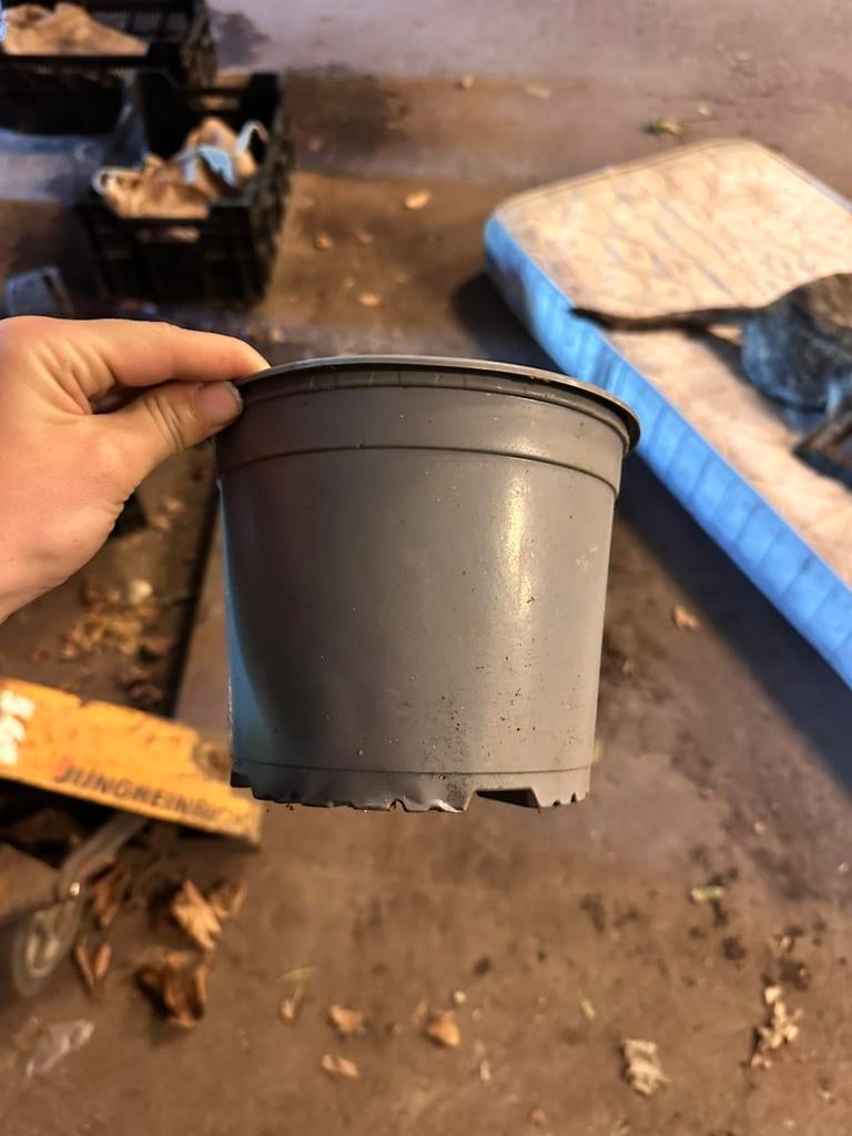 150 Gebruikte 2 liter potten. (Plastic), Tuin en Terras, Bloempotten, Kunststof, Rond, Ophalen of Verzenden, Zo goed als nieuw
