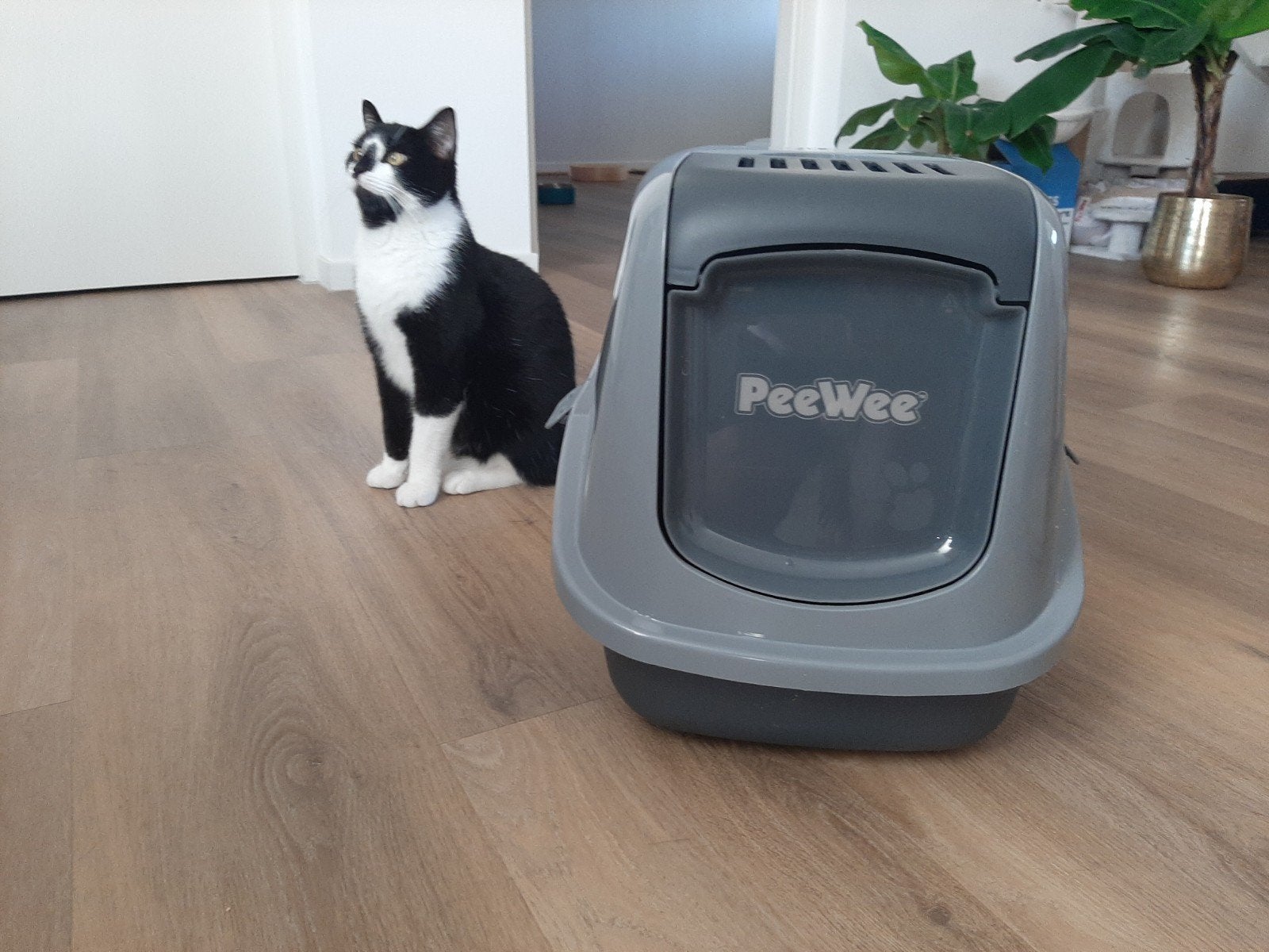 PeeWee Ecohûs, Ophalen of Verzenden, Zo goed als nieuw, Gesloten