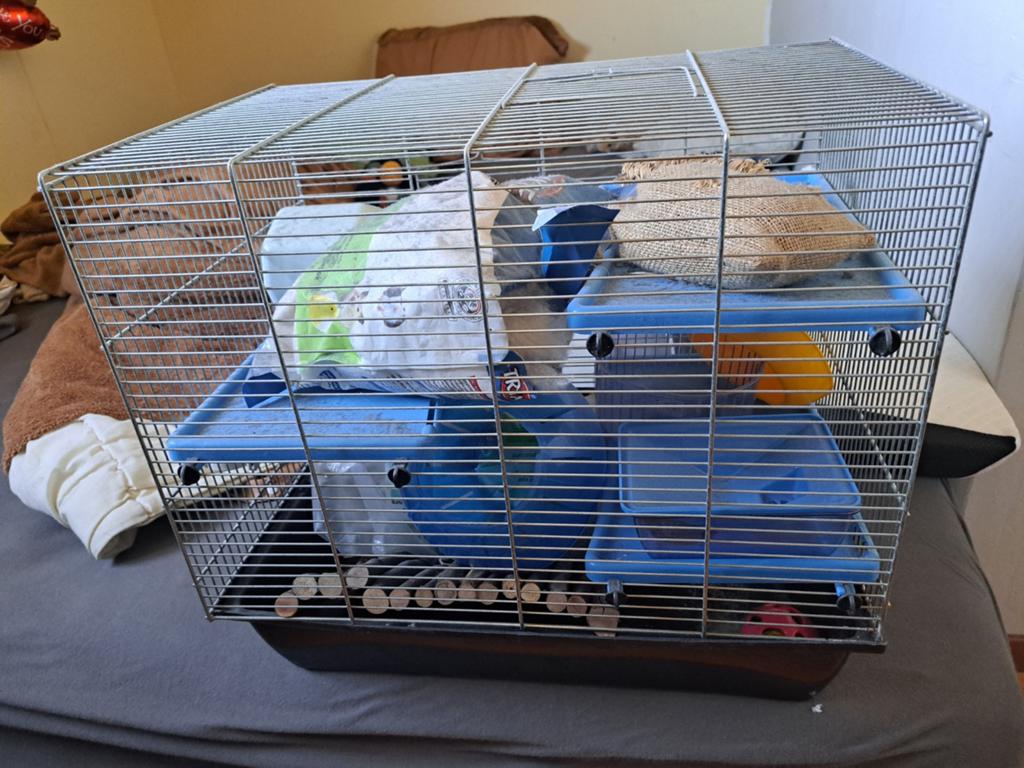 Kooi met van alles er bij, Dieren en Toebehoren, Knaagdieren en Konijnen | Hokken en Kooien, Ophalen, Zo goed als nieuw, Kooi