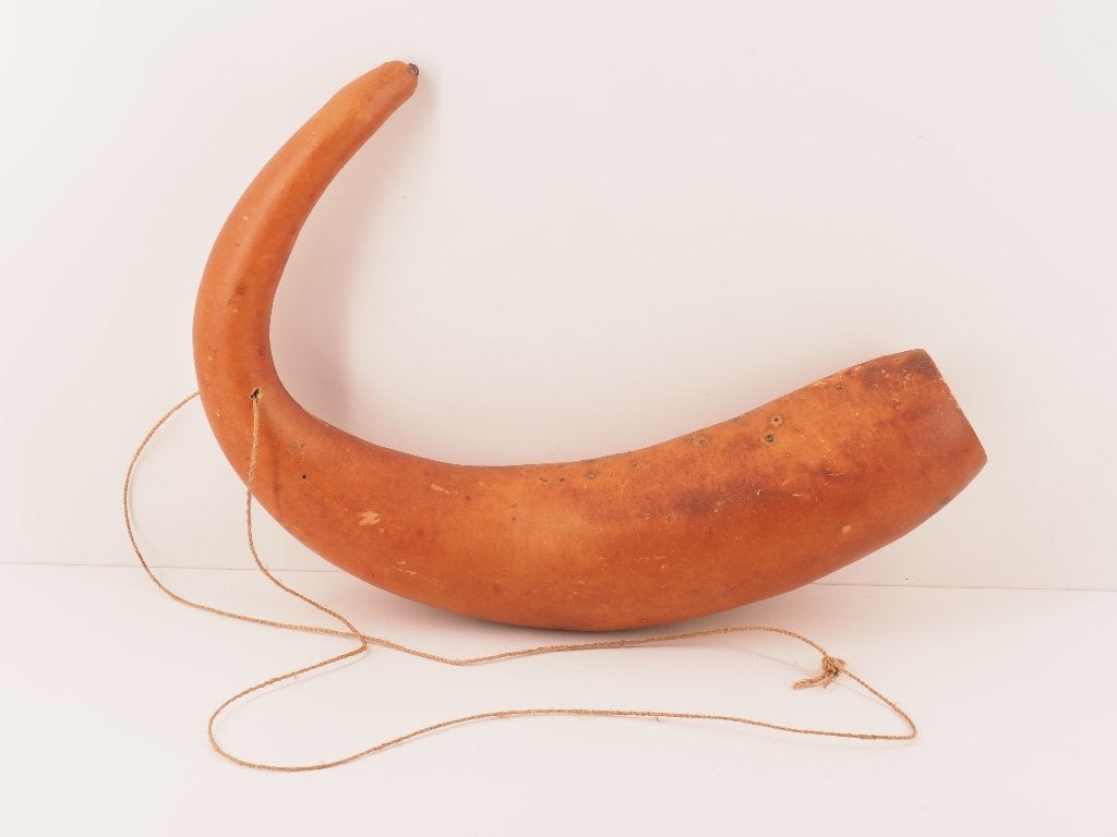 Gebogen Koteka (Peniskoker) Papua Nieuw Guinea (251212-05), Natuurlijk materiaal, Overige typen, Papoea-Nieuw-Guinea, Handgemaakt