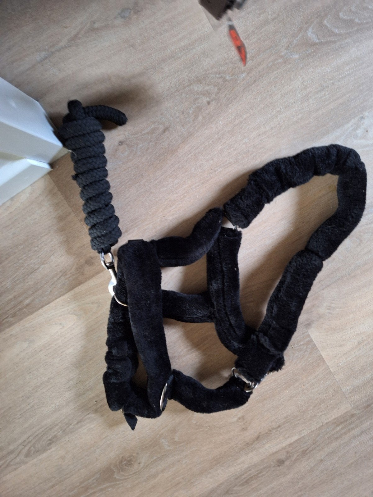 Nieuw, zwart, pony. Fluffy halster met touwl met touw, Recreatie, Nieuw, Zwart, Halster