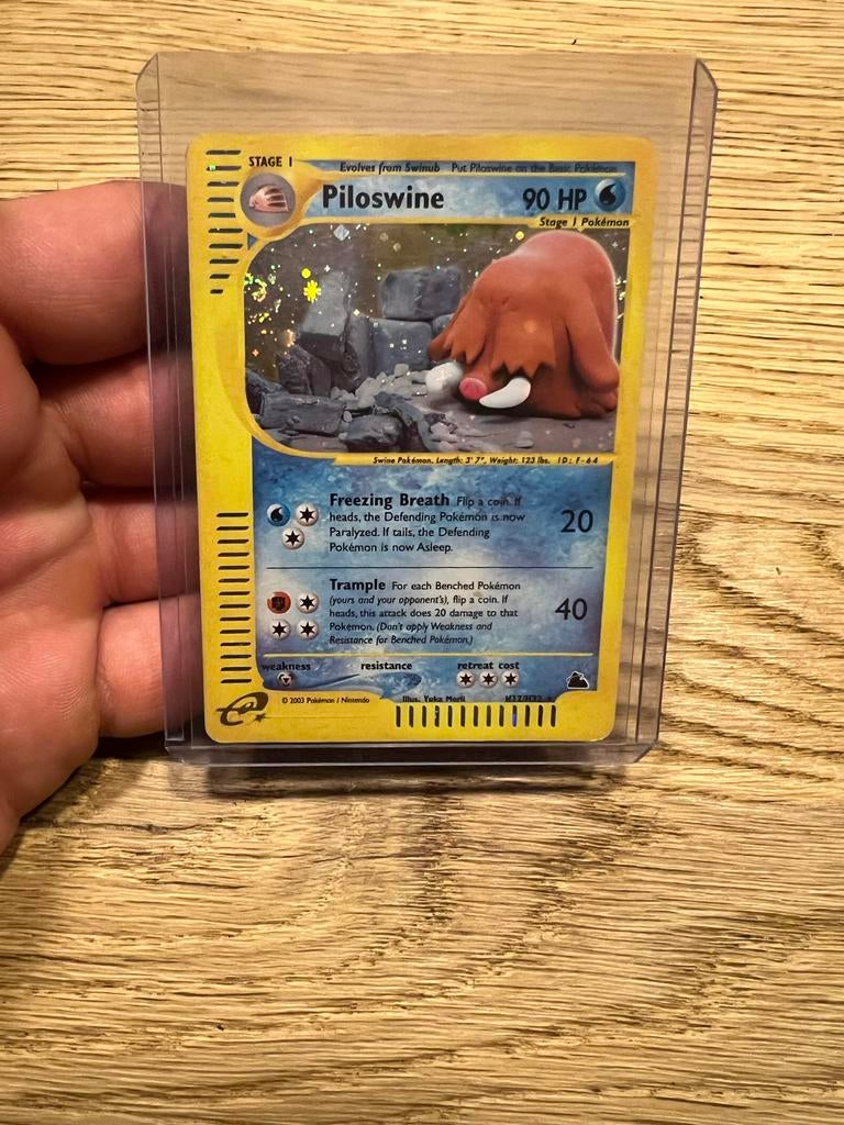 Piloswine Skyridge H22 NM, Ophalen of Verzenden, Zo goed als nieuw, Losse kaart
