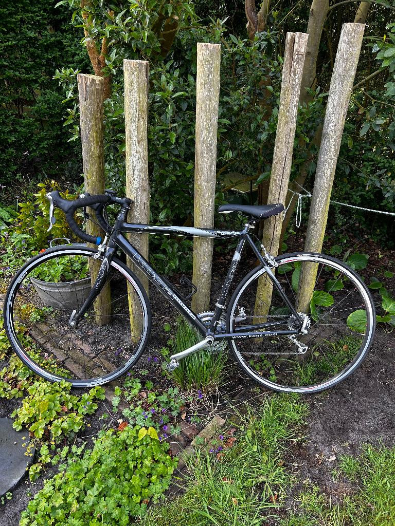 Racefiets koga, Ophalen, Gebruikt, Aluminium, Overige maten