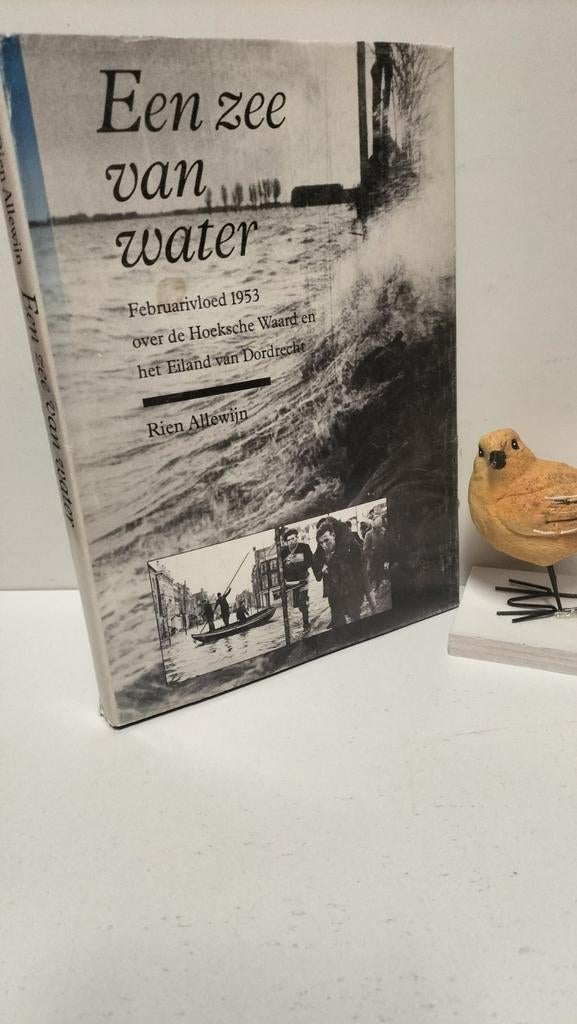 Allewijn, Rien; Een zee van water, Boeken, Ophalen of Verzenden, Gelezen
