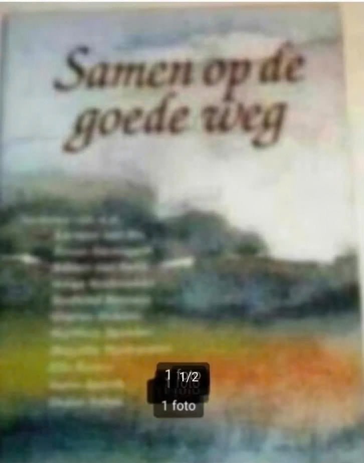 Willem van Veldhuizen:schilderijen/tekeningen., Ophalen of Verzenden, Zo goed als nieuw, Schilder- en Tekenkunst
