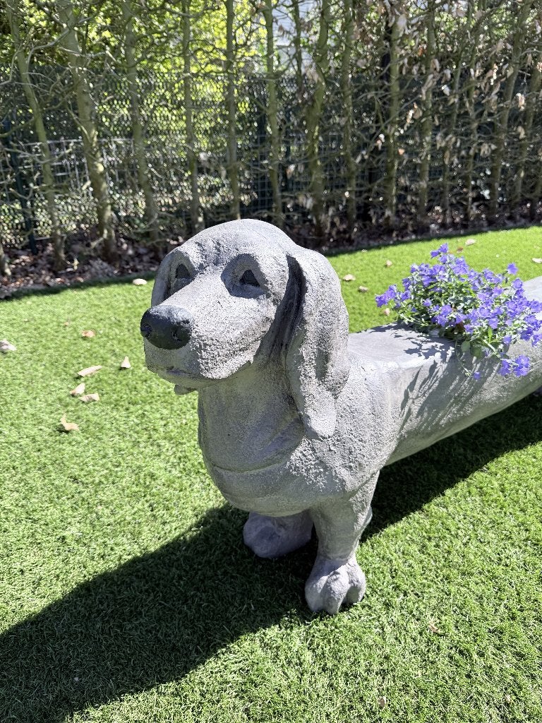Tuinbeeld Grote Teckel  – polyester – uniek decoratief beeld, Ophalen, Gebruikt, Kunststof, Dierenbeeld