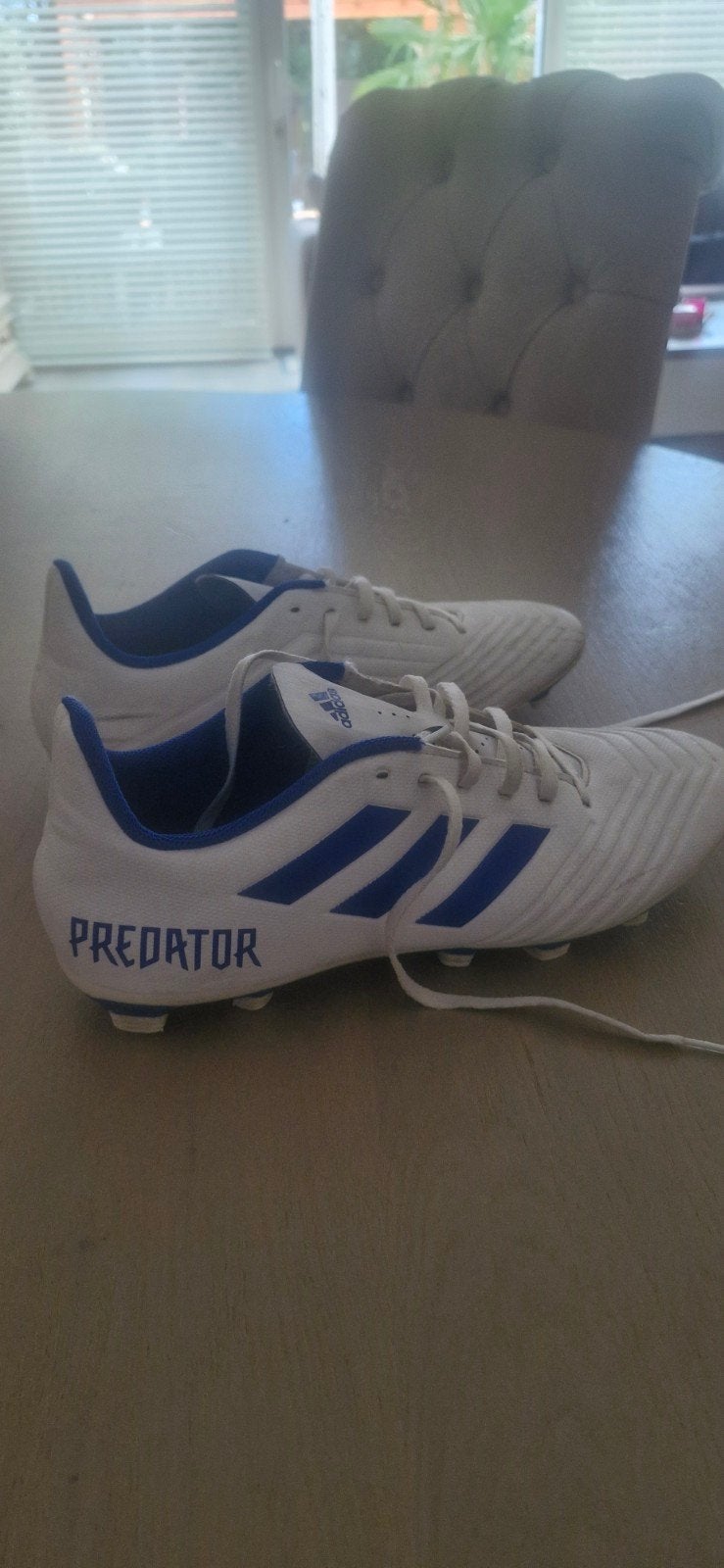 Adidas predator, Maat XS of kleiner, Ophalen of Verzenden, Gebruikt, Schoenen