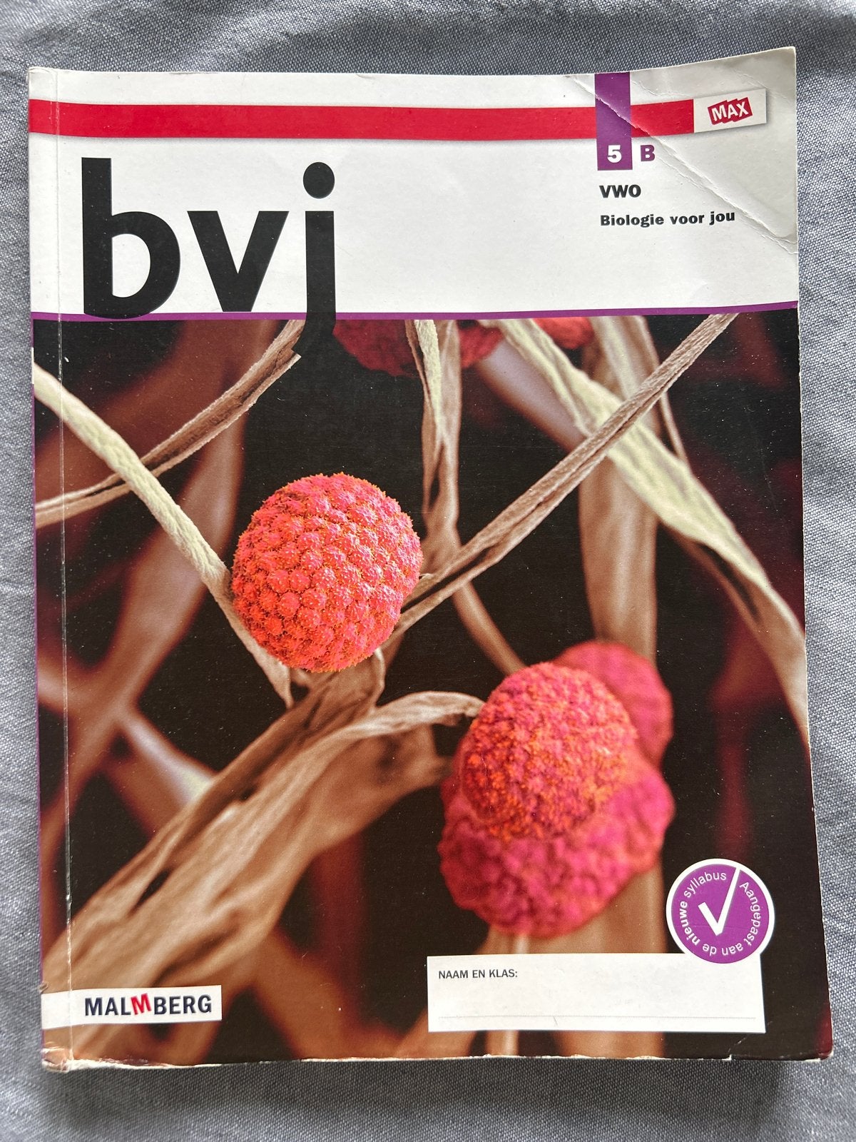 BVI Biologie voor jou 5B VWO Leeropdrachtenboek, Ophalen of Verzenden, Zo goed als nieuw, VWO, Biologie