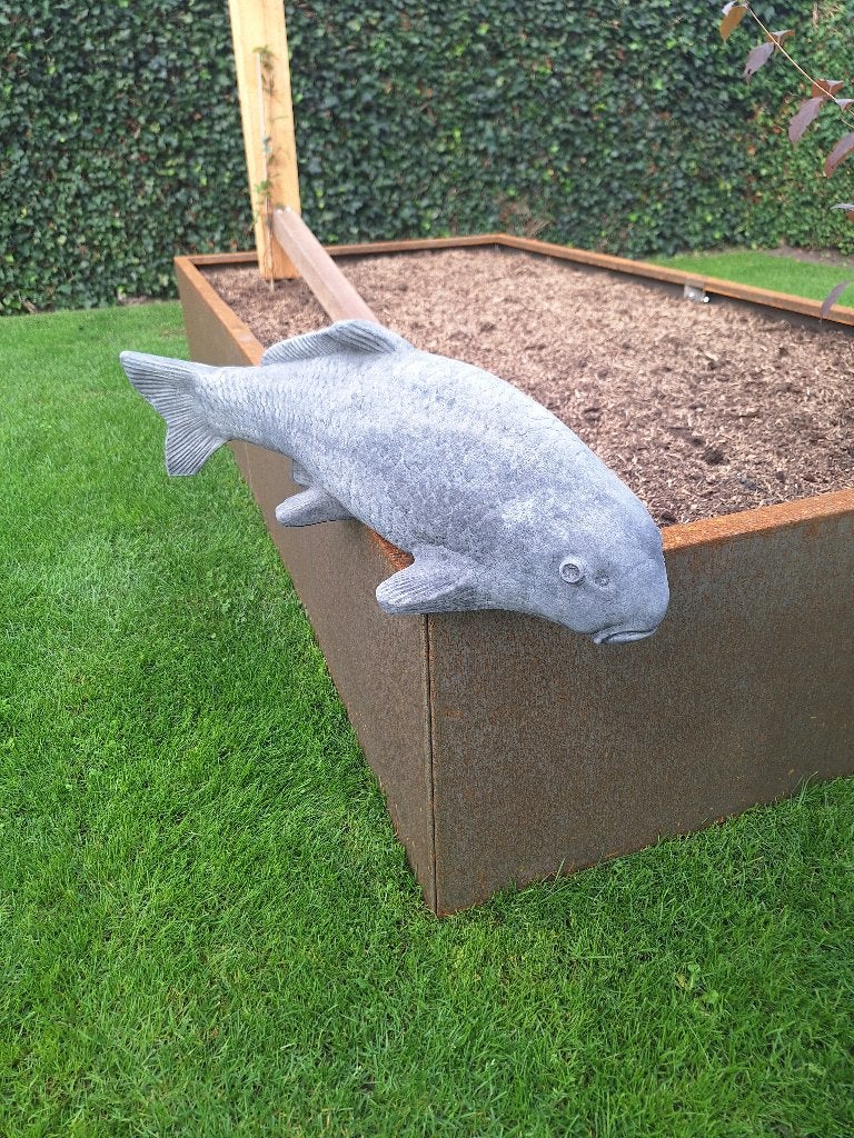 Betonnen Koi Karper Beeld - 63 cm - Nieuw, Ophalen, Nieuw, Beton, Dierenbeeld