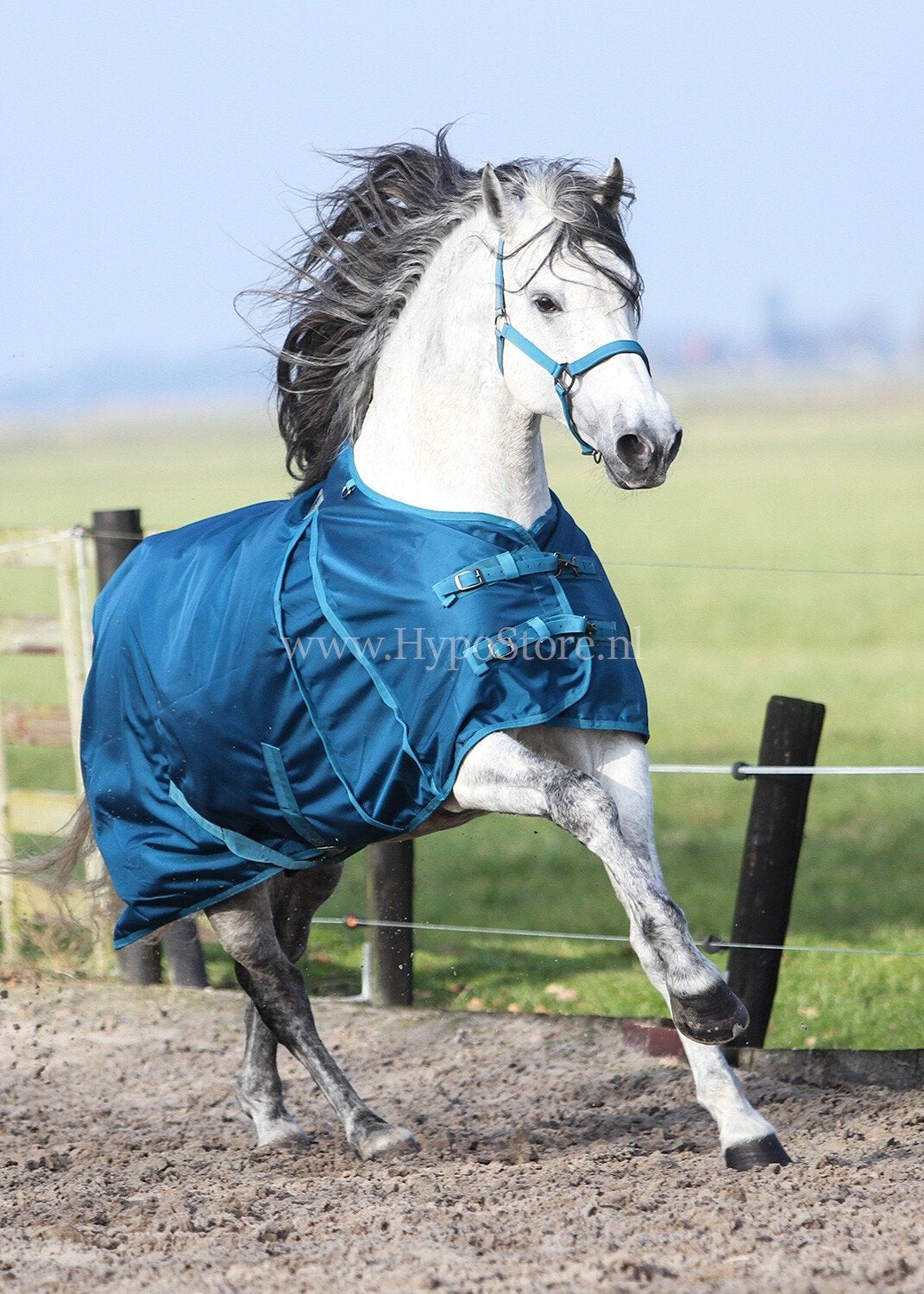 Master regendekens., Extra Full (XL), Ophalen, Zo goed als nieuw