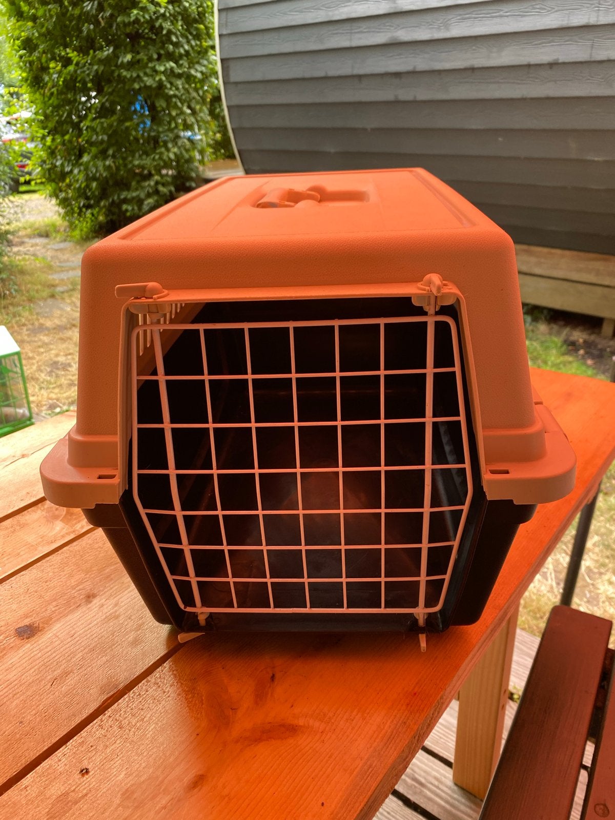 Katten reismand, Ophalen