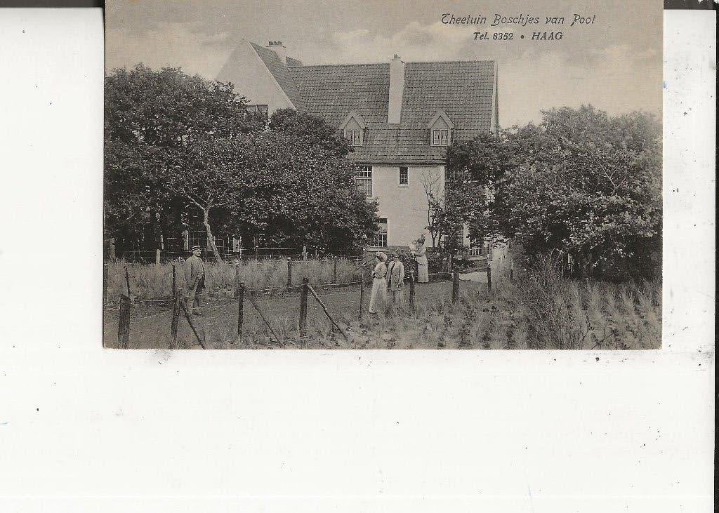 Den Haag Boschjes van Poot Theetuin Levenslust 7-8-1916, Ophalen of Verzenden, Voor 1920, Gelopen, Zuid-Holland