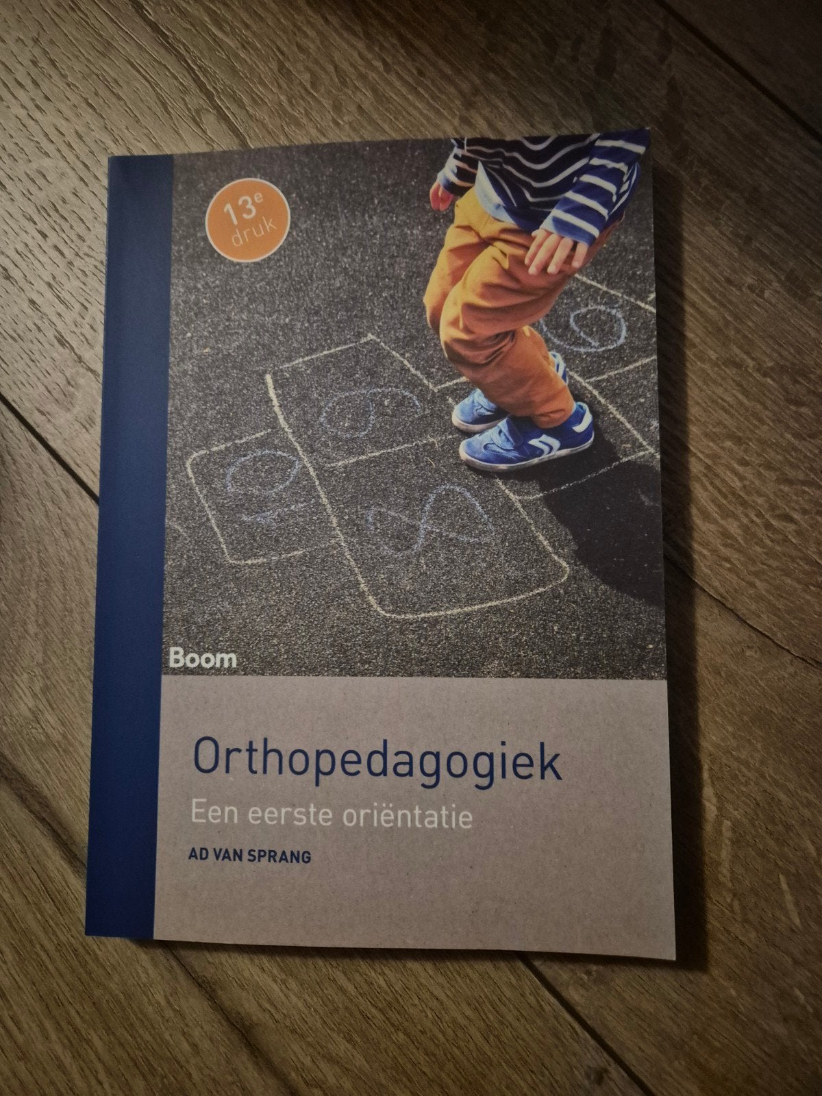 Orthopedagogiek - Een eerste oriëntatie (13e druk), Zo goed als nieuw, Gamma, AD VAN SPRANG, HBO
