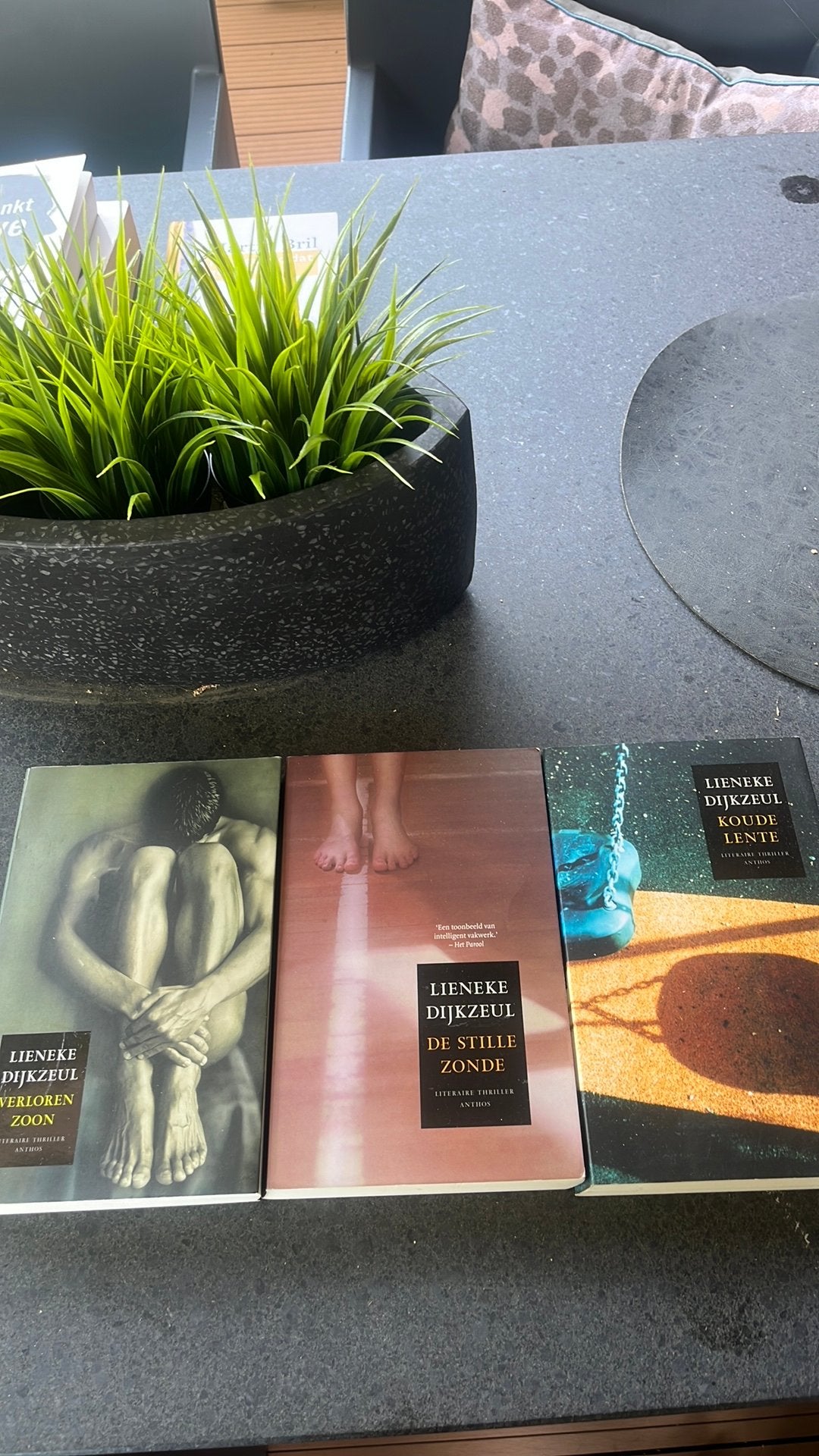 Lieneke Dijkzeul - De stille zonde, Boeken, Thrillers, Zo goed als nieuw, Ophalen
