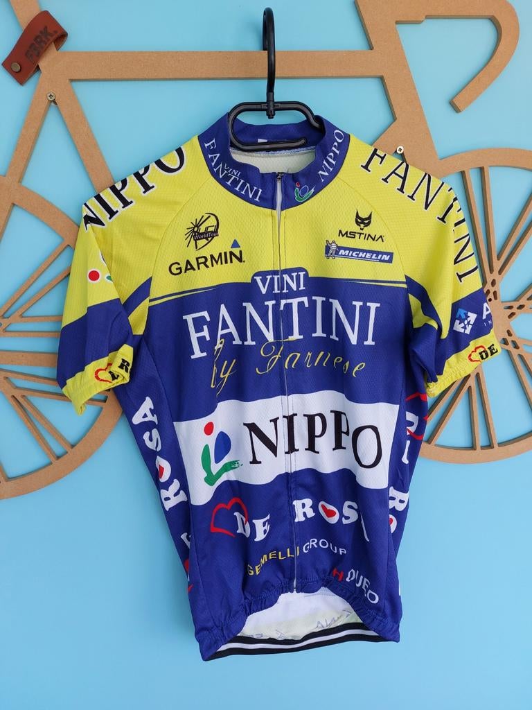 WIELERSHIRT TEAM VINI FANTINI, Ophalen of Verzenden, Overige typen
