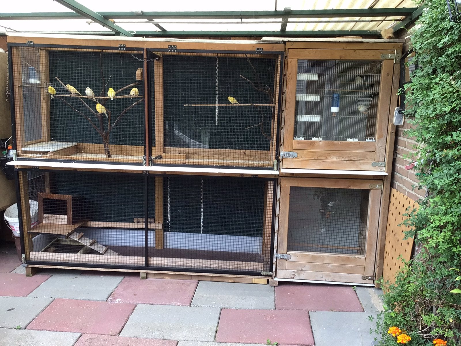 Voliere met nachthok te koop, Ophalen, Gebruikt, Hout, Volière