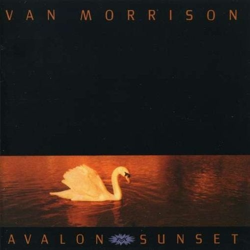Van Morrison, Cd's en Dvd's, Cd's | Rock, Gebruikt, Poprock, Ophalen of Verzenden