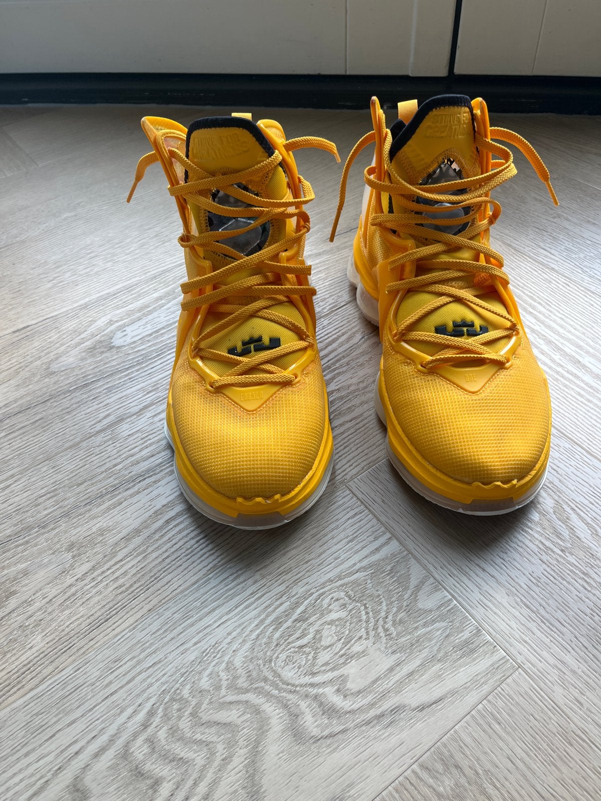 Nike LeBron XIX 'University Gold' CZ0203 700, Ophalen of Verzenden, Nieuw, Overige kleuren, Sneakers of Gympen